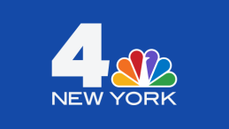 Logo for in the news article NY Man Makes Remarkable Recovery From Brain Injury
