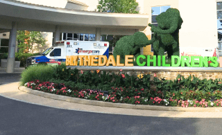 ambulance in front of hospital entrance with topiary elephants